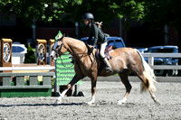 HSM_1786