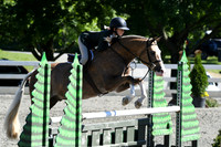 HSM_1791