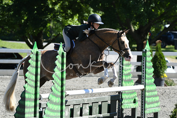 HSM_1791