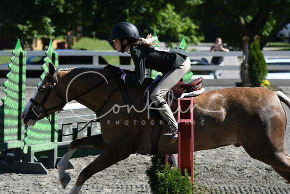 HSM_1798