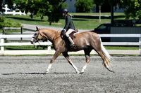 HSM_1799