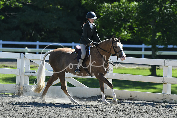 HSM_1843