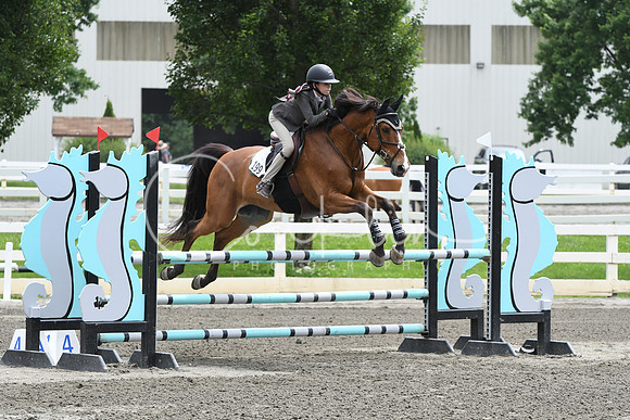 HSM_5221