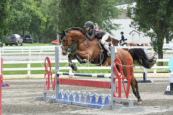 HSM_5225