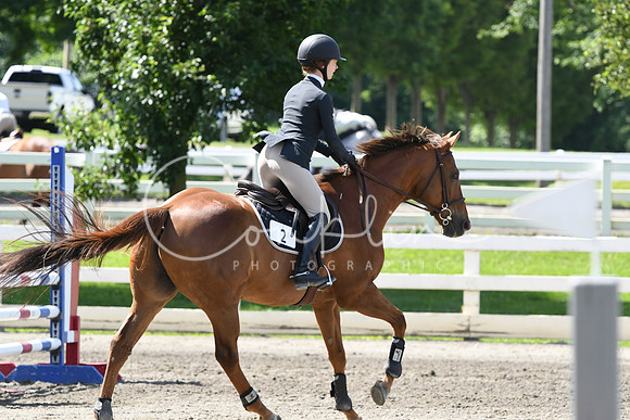 HSM_2391