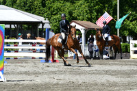 HSM_2393