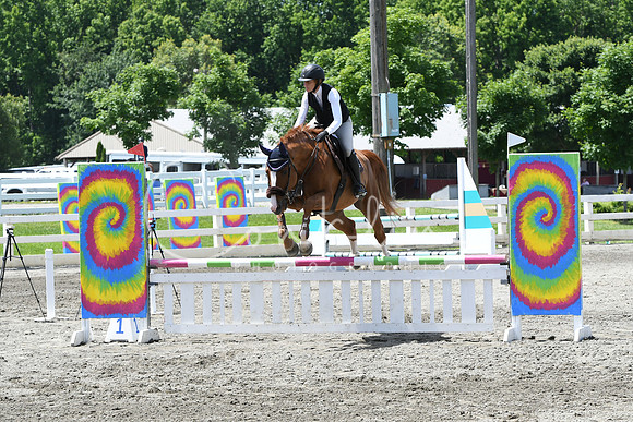 HSM_2801