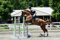 HSM_2806