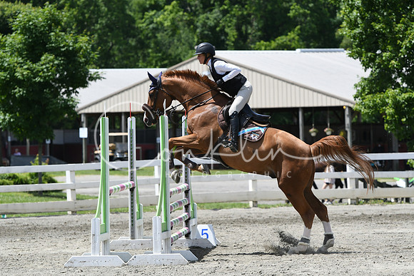 HSM_2806