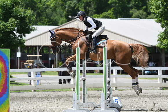 HSM_2825