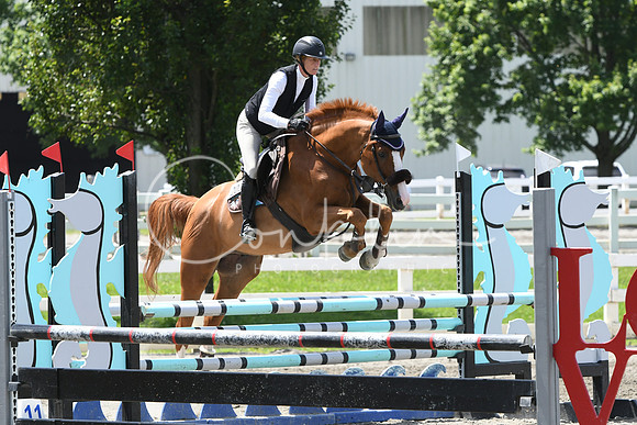 HSM_2829