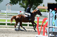 HSM_2203