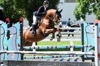 HSM_2217