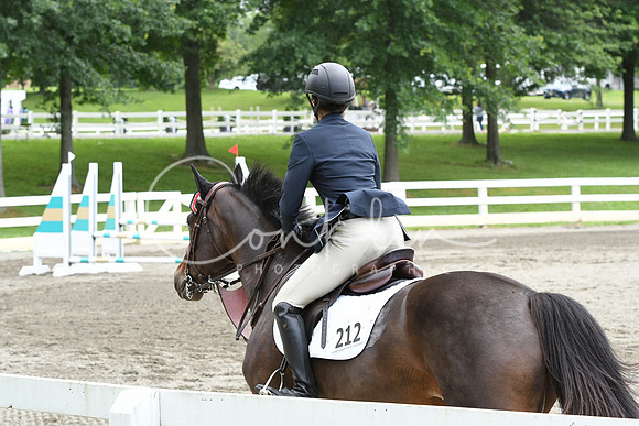 HSM_4962