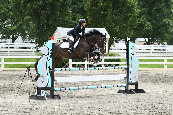 HSM_4974