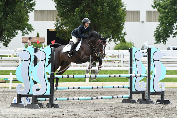 HSM_5019