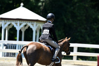 HSM_1095