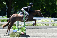HSM_1101