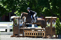 HSM_1103