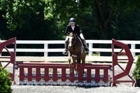 HSM_1106