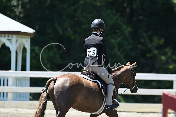 HSM_1172