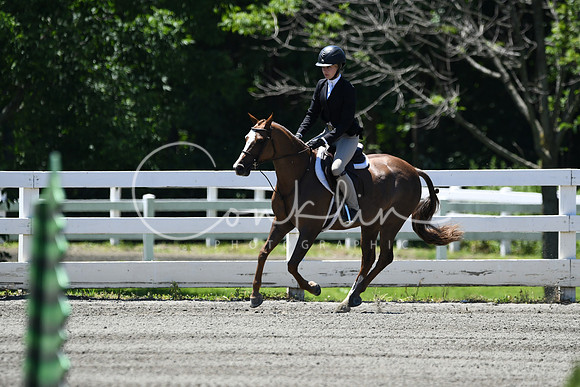 HSM_1177