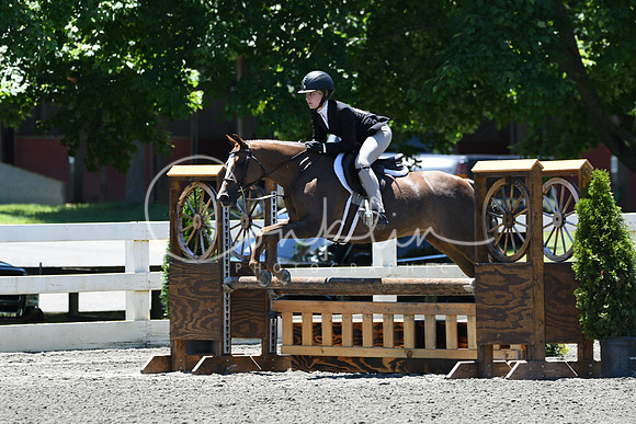 HSM_1180