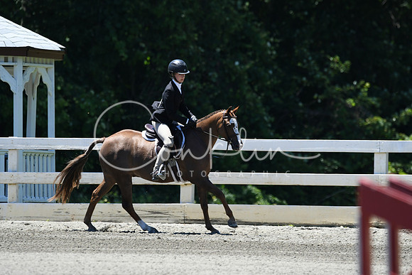 HSM_1181