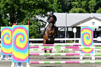 HSM_2118