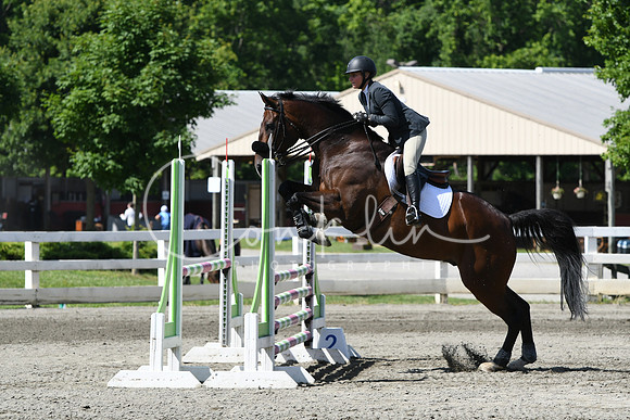 HSM_2236