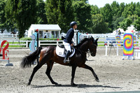 HSM_2529