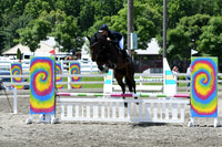 HSM_2533