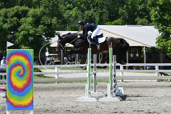 HSM_2537