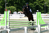 HSM_2539