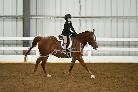 HSM_6117