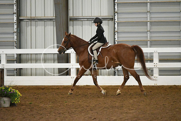 HSM_6196