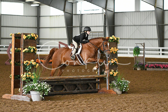 HSM_6269