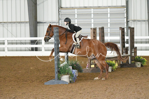 HSM_6271