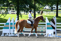 HSM_2073