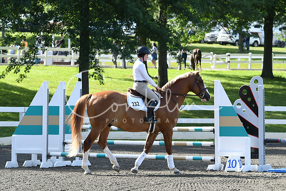 HSM_2073