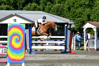 HSM_2077