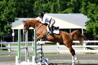 HSM_2082