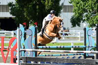 HSM_2088