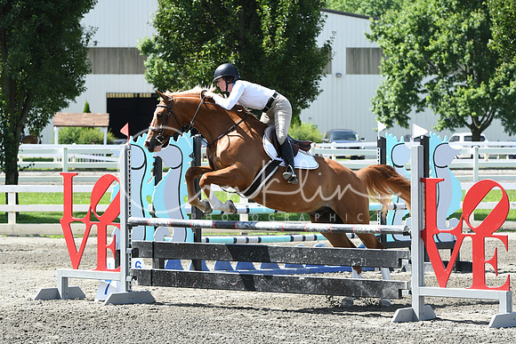 HSM_2385