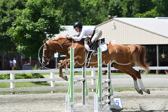 HSM_2701