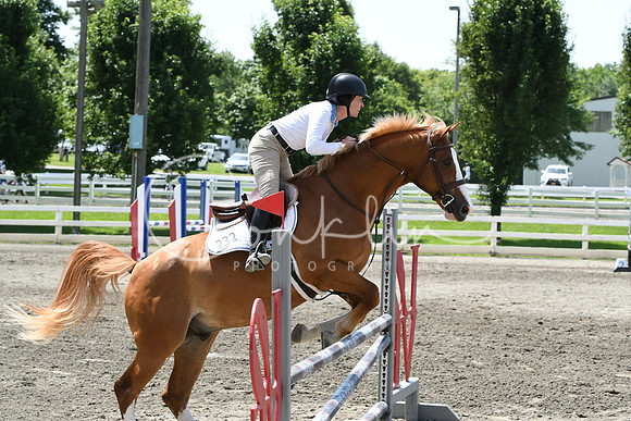 HSM_2706