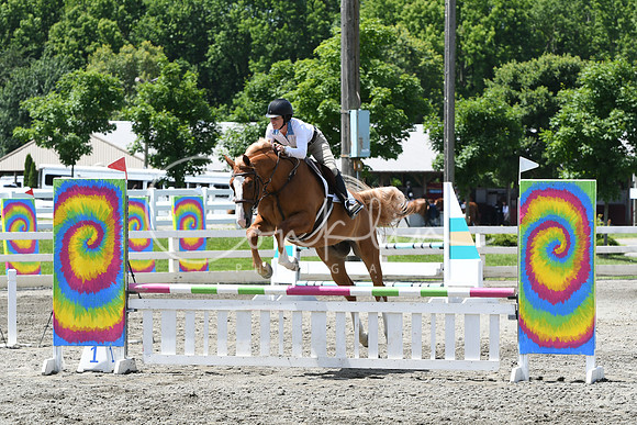 HSM_2712