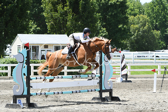 HSM_2722