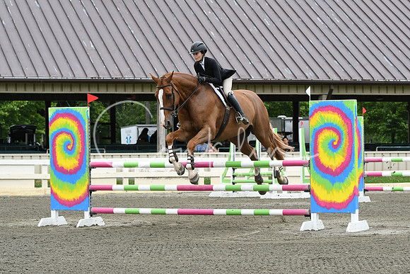 HSM_4023