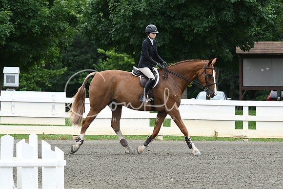 HSM_4031